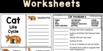 Teach your children about the cat life cycle with these simple, no-pre, free cat worksheets. Whether you are learning about life cycles for kids, interested in cat information, or just explring the life cycle of a cat for kids- you will love these free printables to play and learn with first grade, 2nd grade, 3rd grade, 4th garde, and 5th grade students.