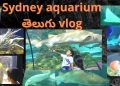 Sydney aquarium తెలుగు vlog  //  fun time // telugu vlogs // homeschooling tips for moms//