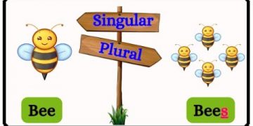 Singular and plural nouns in English grammar | One and many | Singular and plural for preschool kids